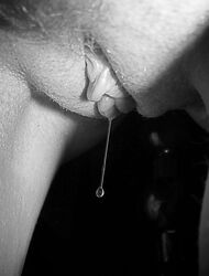 Pussy GIF Drop - A Wet and Wild Ride!. Photo #2